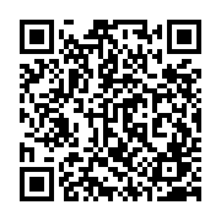 QR code for 313MEV