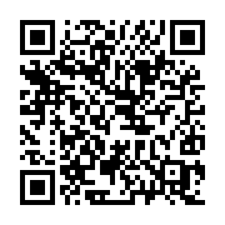 QR code for 313MIC
