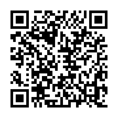 QR code for 313MLO