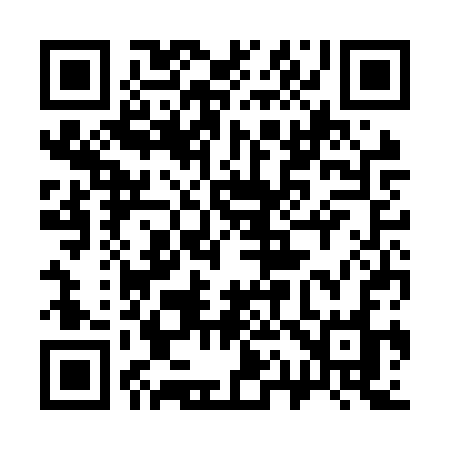 QR code for 313NSO
