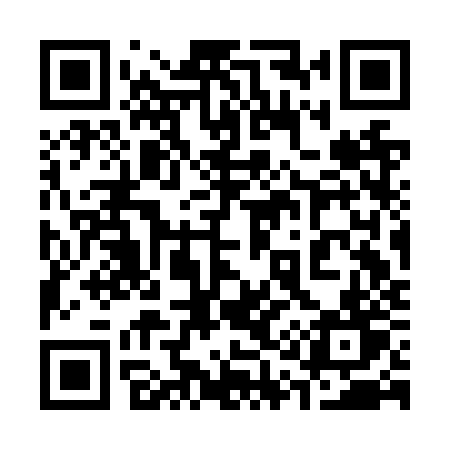QR code for 313NZT