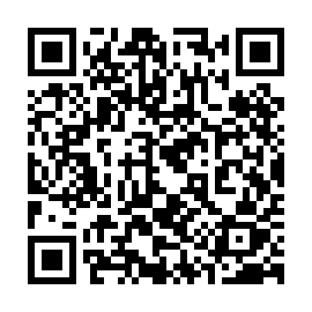 QR code for 313PAZ