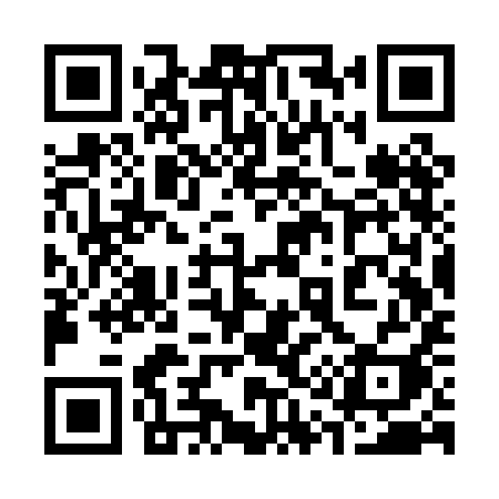 QR code for 313PII