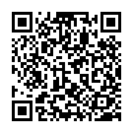 QR code for 313PMX