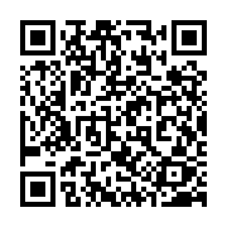 QR code for 313QSZ