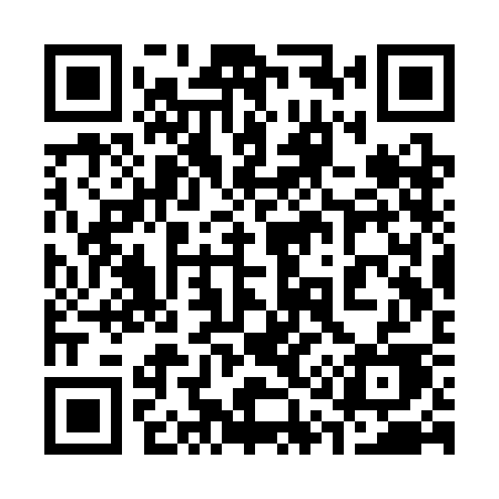 QR code for 313SCE