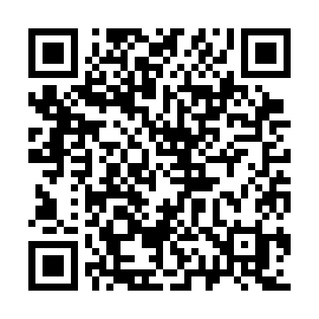 QR code for 313SKI