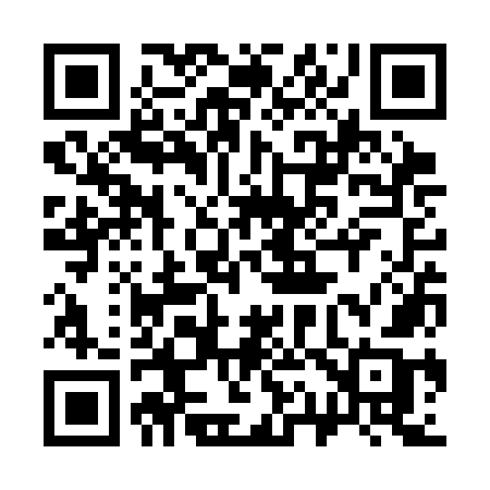 QR code for 313SOB