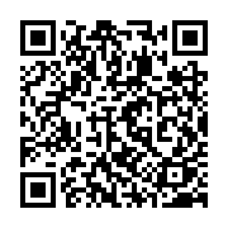QR code for 313SQP