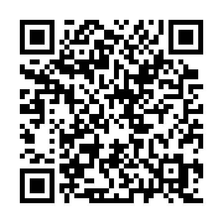 QR code for 313SRM