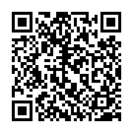QR code for 313TQR