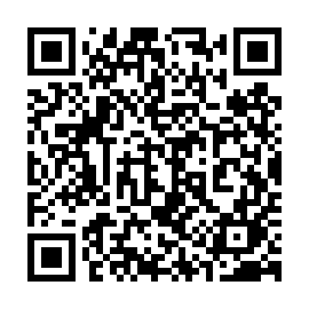 QR code for 313TUL