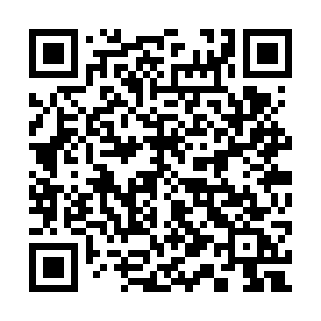 QR code for 313VWC