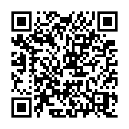 QR code for 313WCP