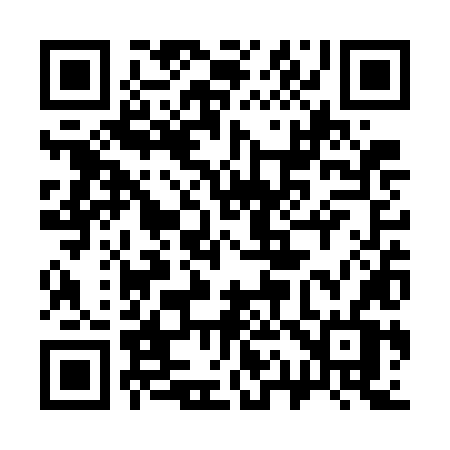 QR code for 313WLV