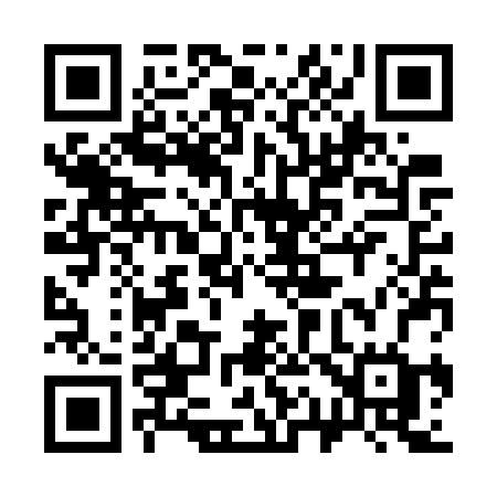 QR code for 313WRG