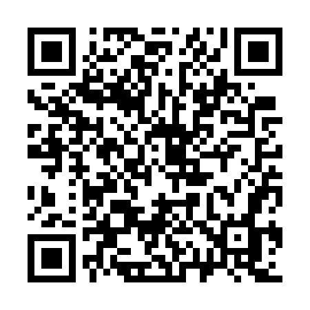 QR code for 313WWO