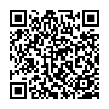 QR code for 313ZQU