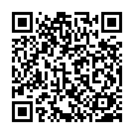 QR code for 315ICM