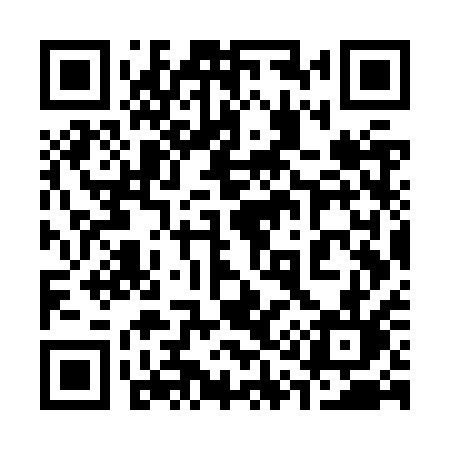 QR code for 317ZQL