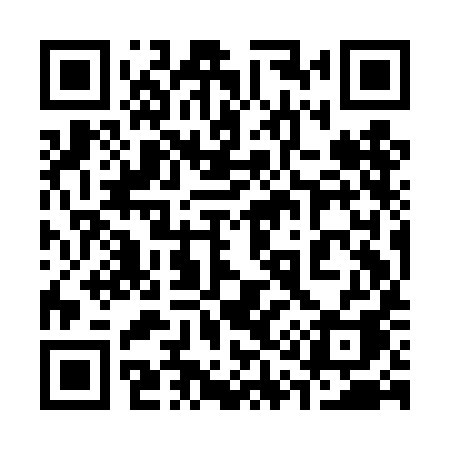 QR code for 319DIA
