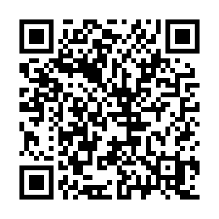 QR code for 319LSI