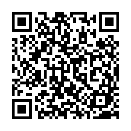 QR code for 319PTM