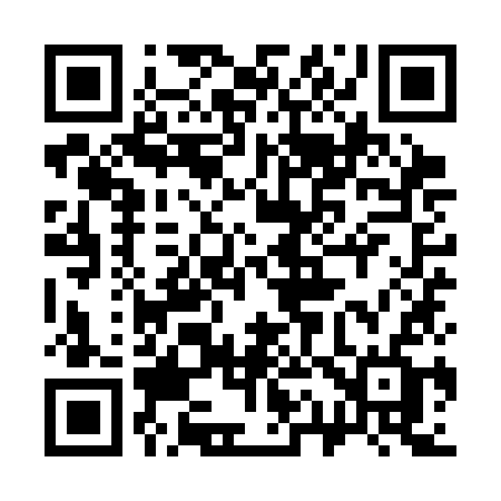 QR code for 319SKF