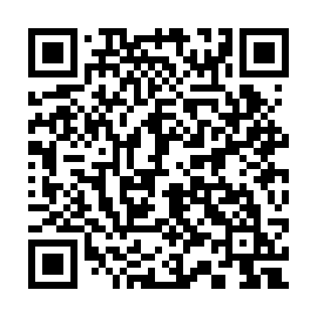 QR code for 333BSK