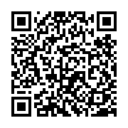 QR code for 333DIQ