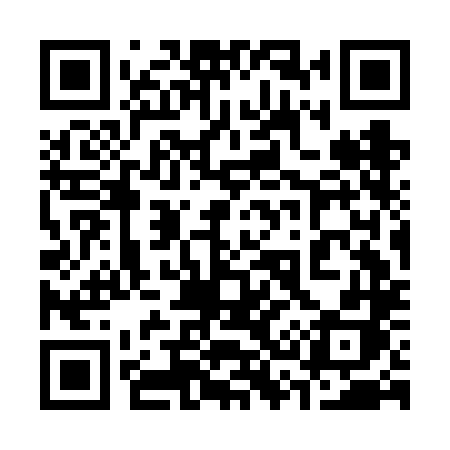 QR code for 333FLH