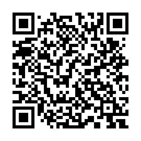 QR code for 333FSI
