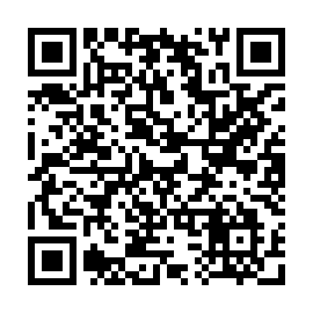 QR code for 333HMO
