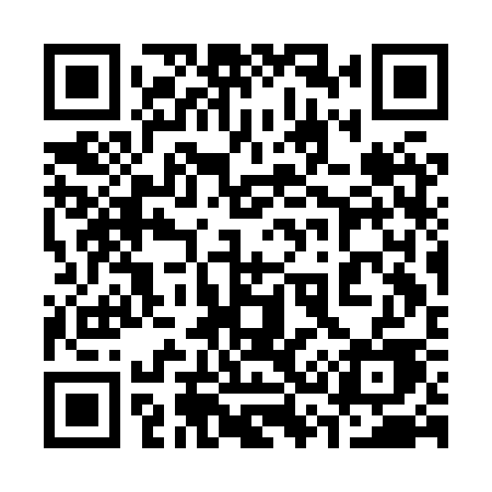 QR code for 333HSE