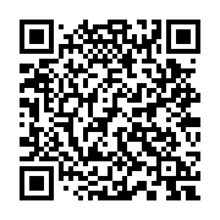 QR code for 333PSA