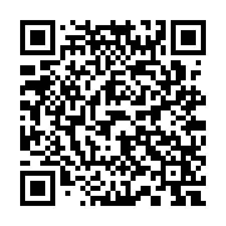 QR code for 333QLZ