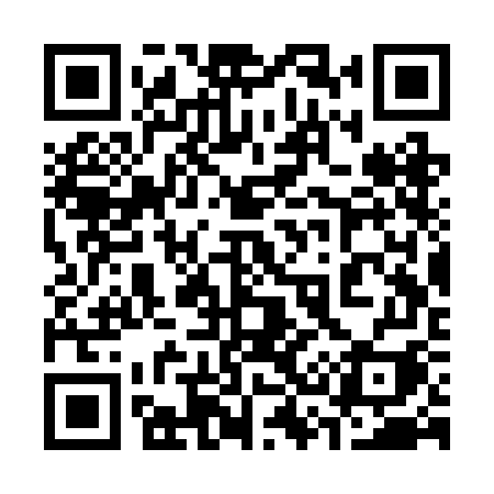 QR code for 333RGI