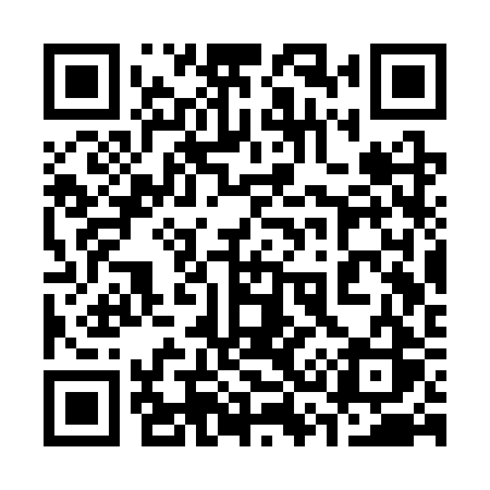 QR code for 333SRS