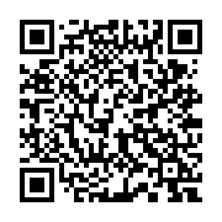 QR code for 333VNE