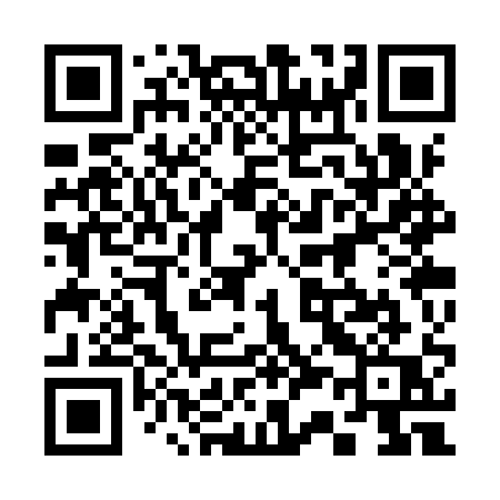 QR code for 333YQQ