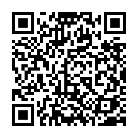 QR code for 333ZGI
