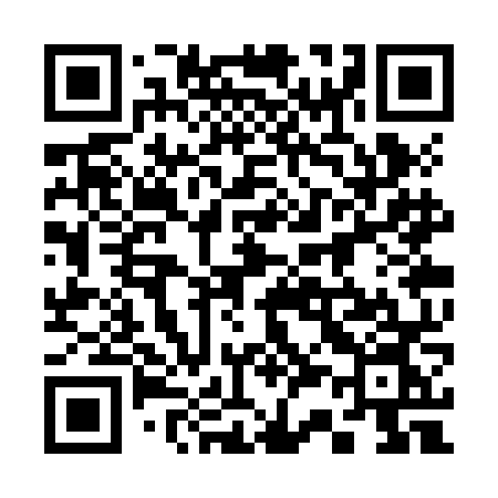QR code for 333ZNN