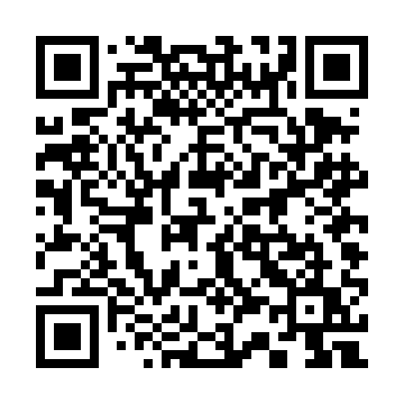 QR code for 334DAU