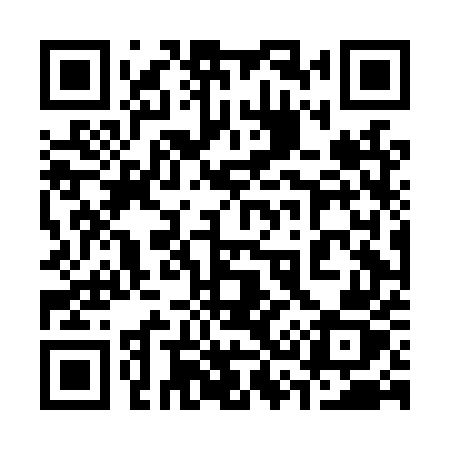 QR code for 334LUZ