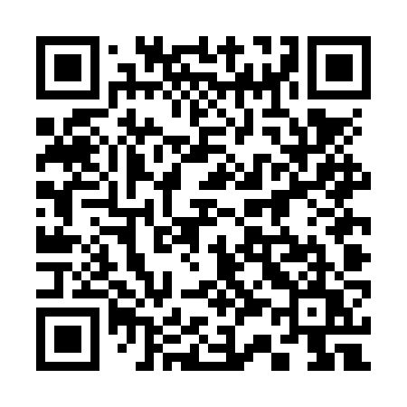 QR code for 334NZU