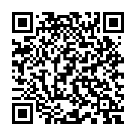 QR code for 335BQD