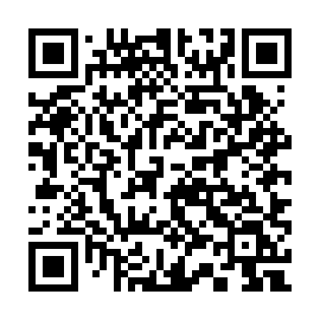 QR code for 335BXL