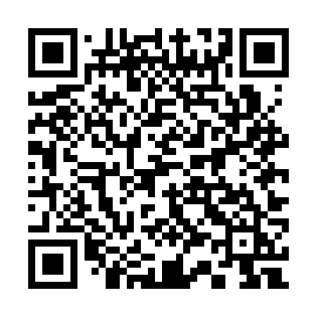QR code for 335CZJ