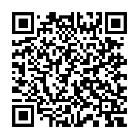 QR code for 335DHR