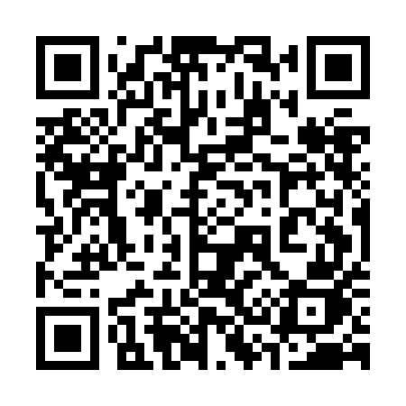 QR code for 335JEJ